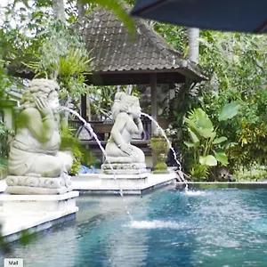 Resort Aura Wellness Sanctuary